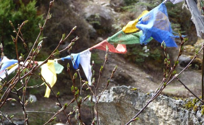 Soi Yaksey Trek Mai 2015 137.jpg