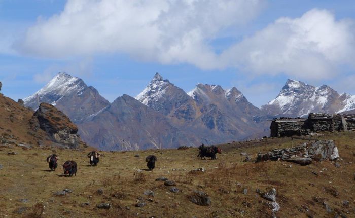 G.Phunsum Trek Oktober2015 430.jpg