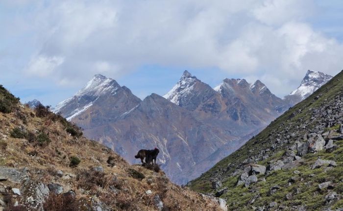 G.Phunsum Trek Oktober2015 433.jpg
