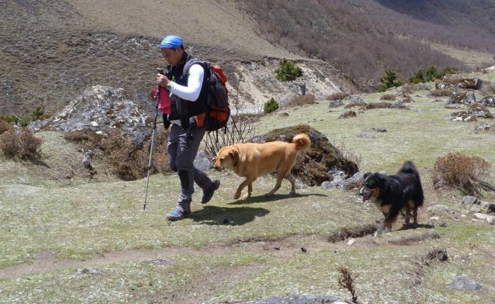 Soi Yaksey Trek Mai 2015 045.jpg