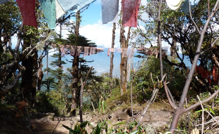 Dagala Trek 167.jpg