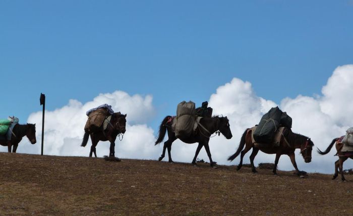 Dagala Trek 054.jpg