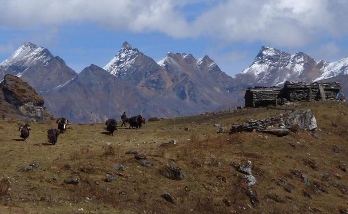G.Phunsum Trek Oktober2015 429.jpg
