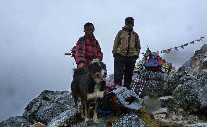P1000438.jpg