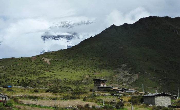 P1000930.jpg