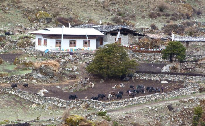 Soi Yaksey Trek Mai 2015 110.jpg