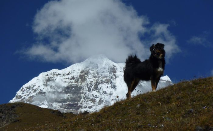 gruppe laya Trek 131.jpg