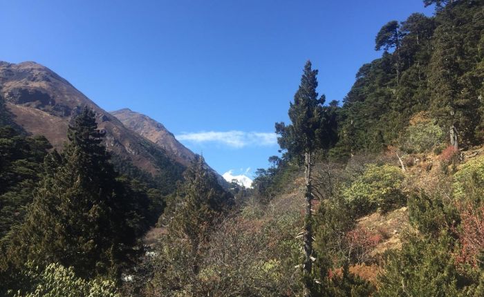 IMG_4998.jpg