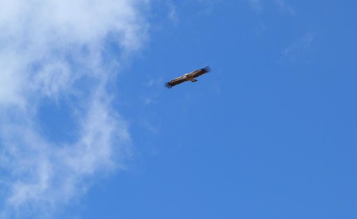 Soi Yaksey Trek Mai 2015 105.jpg