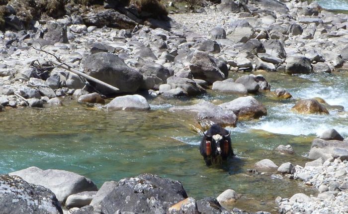Soi Yaksey Trek Mai 2015 041.jpg