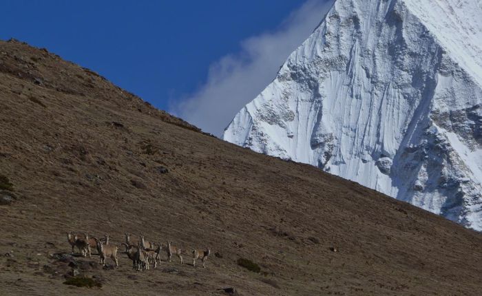 Soi Yaksey Trek Mai 2015 080.jpg