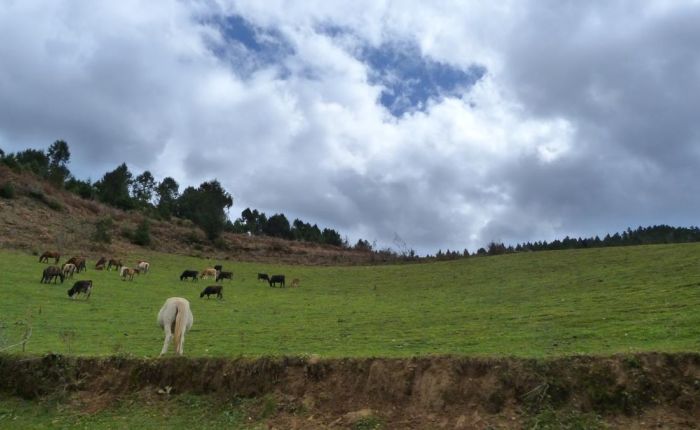G.Phunsum Trek Oktober2015 507.jpg