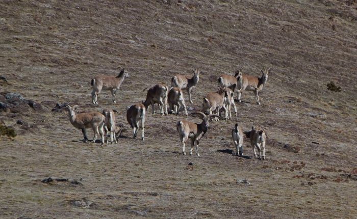 Soi Yaksey Trek Mai 2015 079.jpg