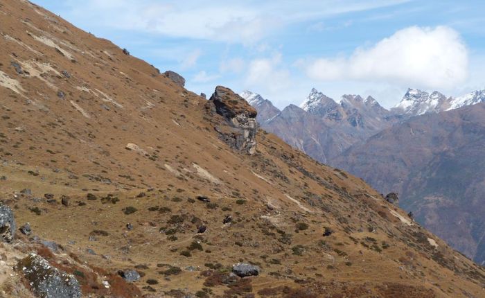 G.Phunsum Trek Oktober2015 421.jpg
