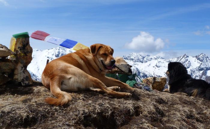 Soi Yaksey Trek Mai 2015 094.jpg