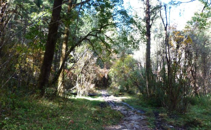 G.Phunsum Trek Oktober2015 192.jpg