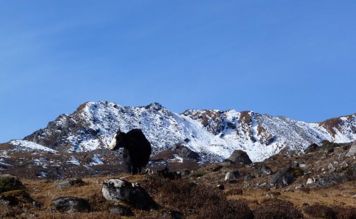 G.Phunsum Trek Oktober2015 449.jpg