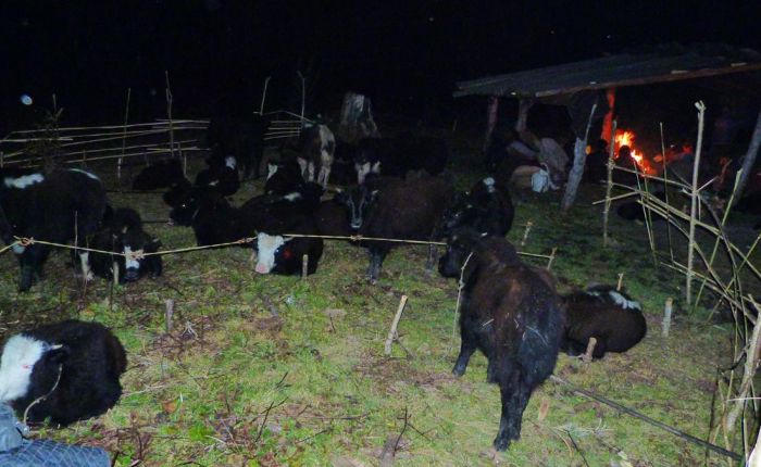 G.Phunsum Trek Oktober2015 491.jpg