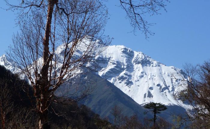 Soi Yaksey Trek Mai 2015 032.jpg