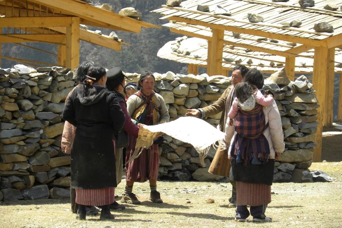 DSCN3976.jpg