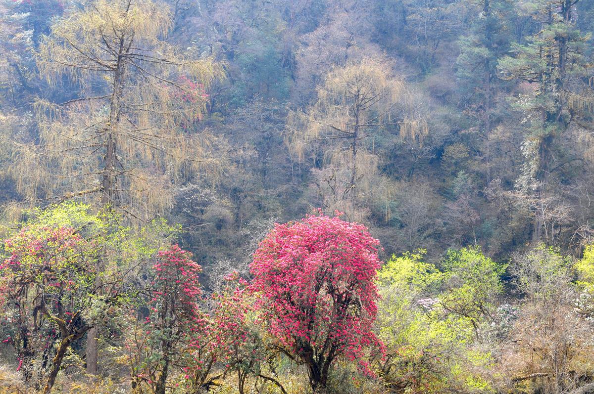 DSC_6496.jpg